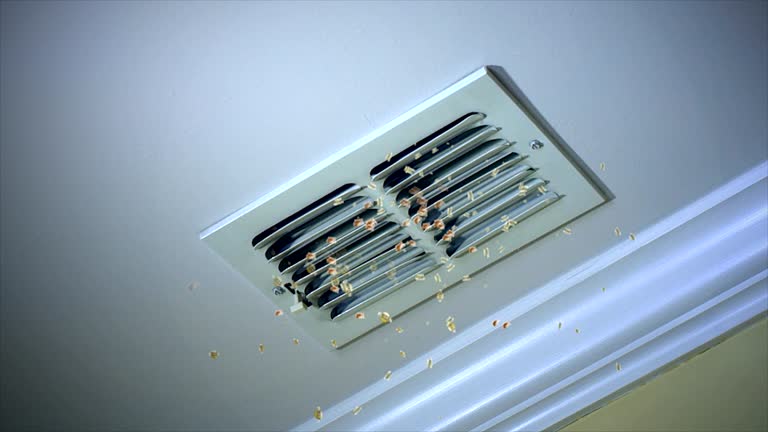 Best Best Air Duct Cleaning Company  in Lyons, OR