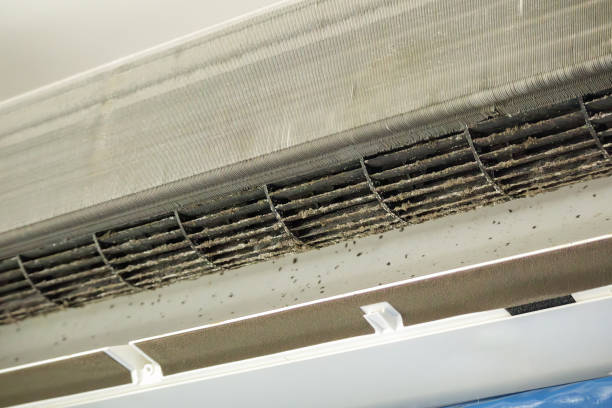Best Affordable Air Duct Cleaning  in Lyons, OR